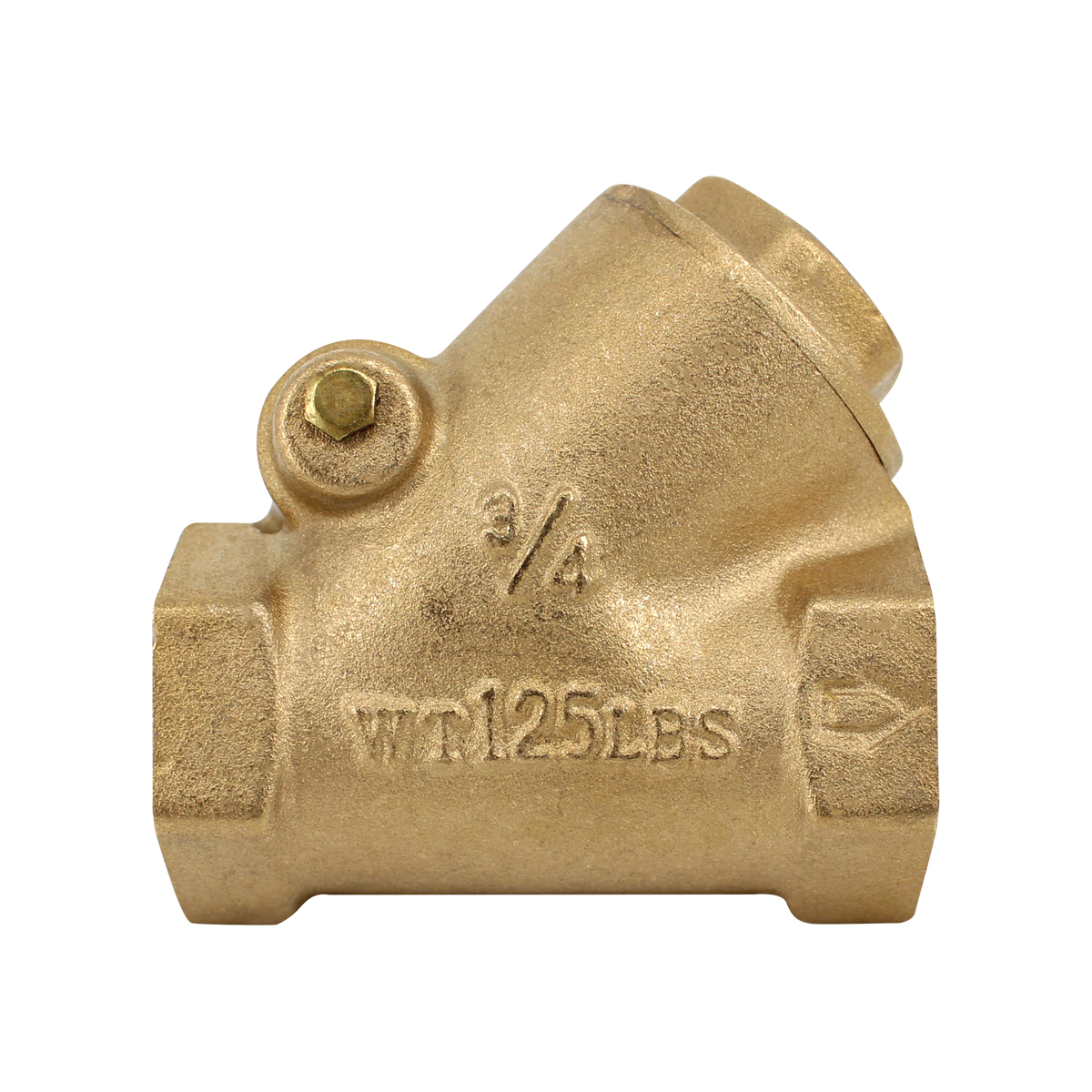 Válvula Check Columpio 3/4"