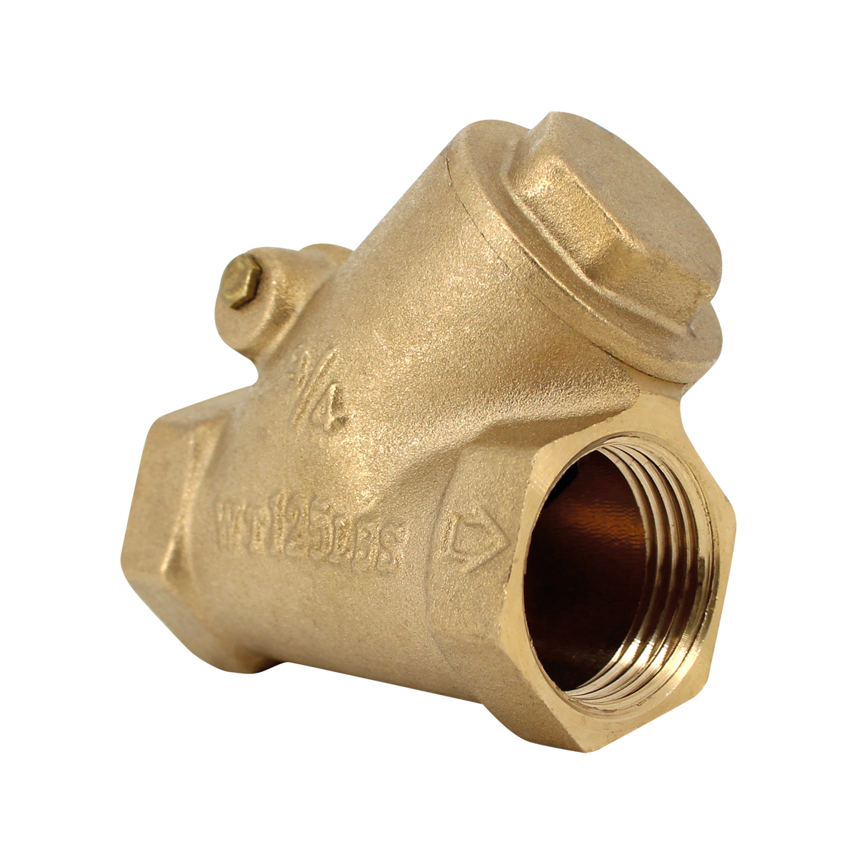 Válvula Check Columpio 3/4"