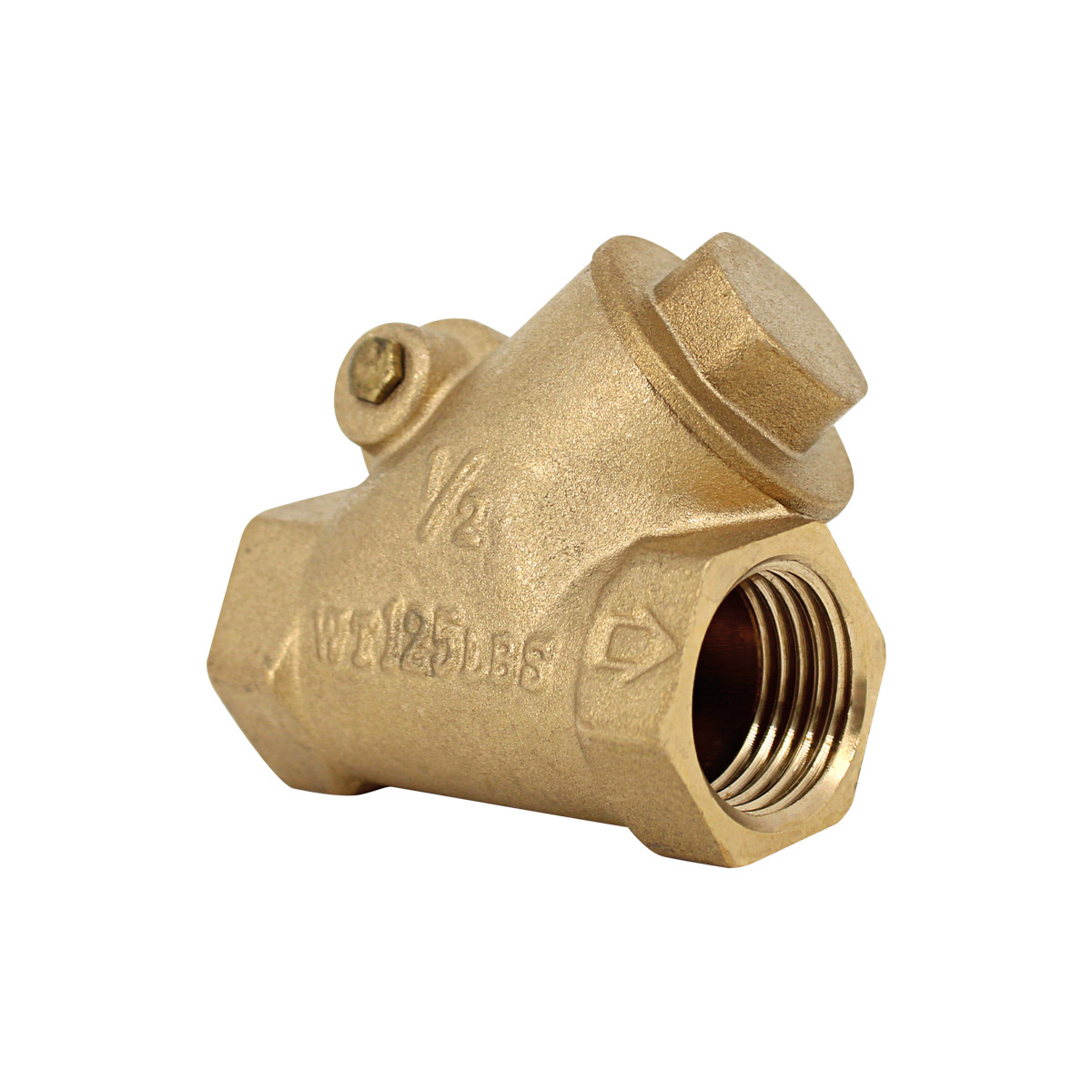 Válvula Check Columpio 1/2"