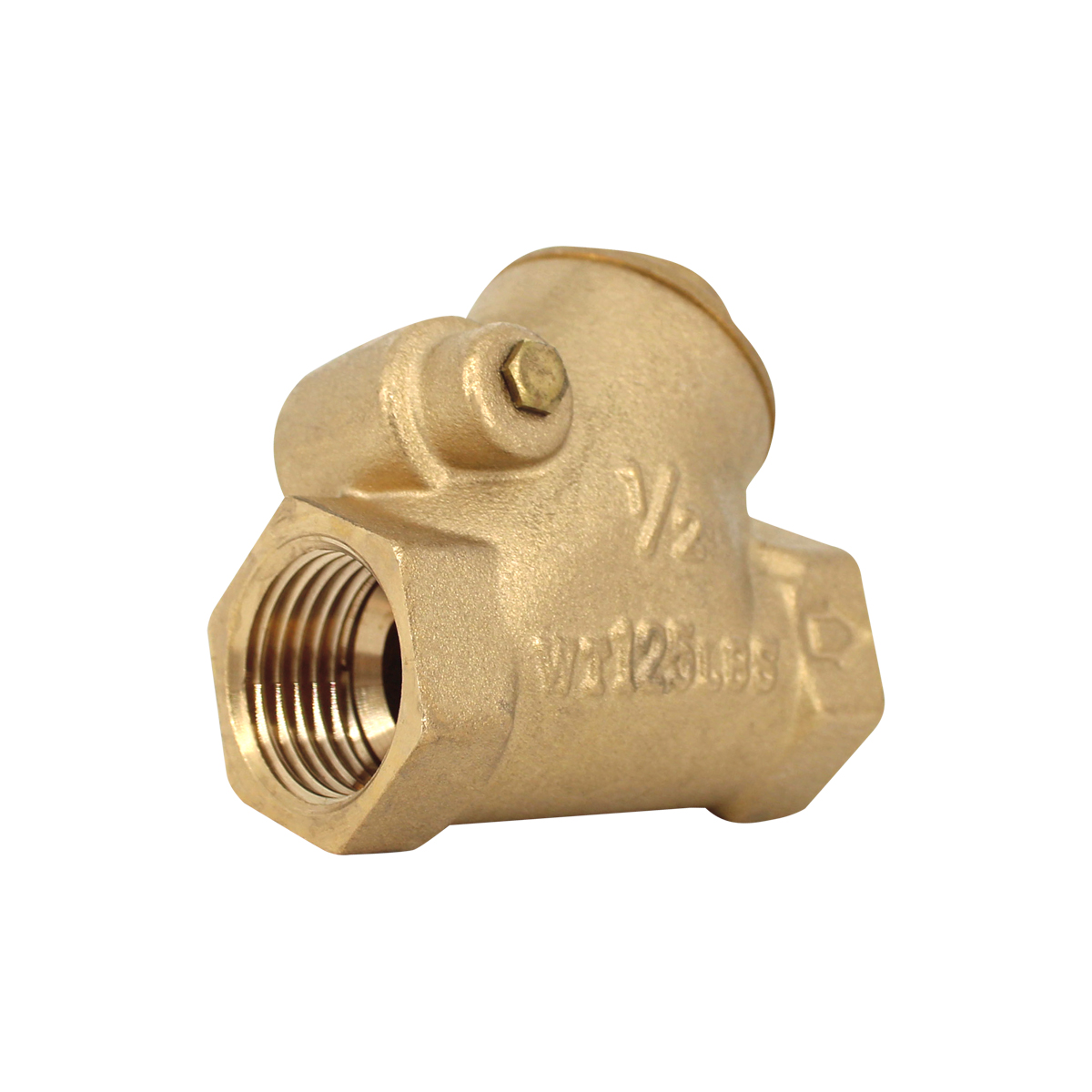 Válvula Check Columpio 1/2"